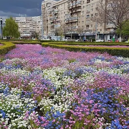 Venus Plaza Ploiesti